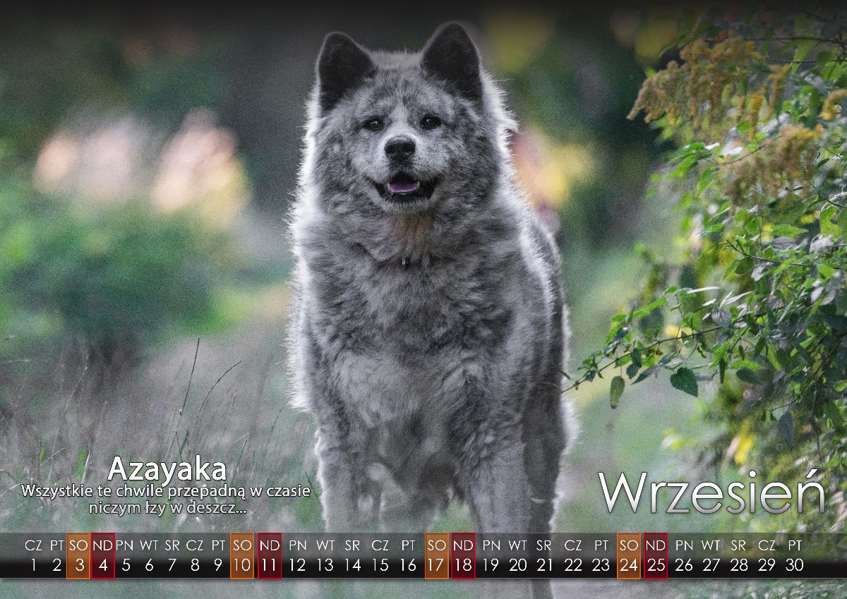 09 Wrzesien2022 copy